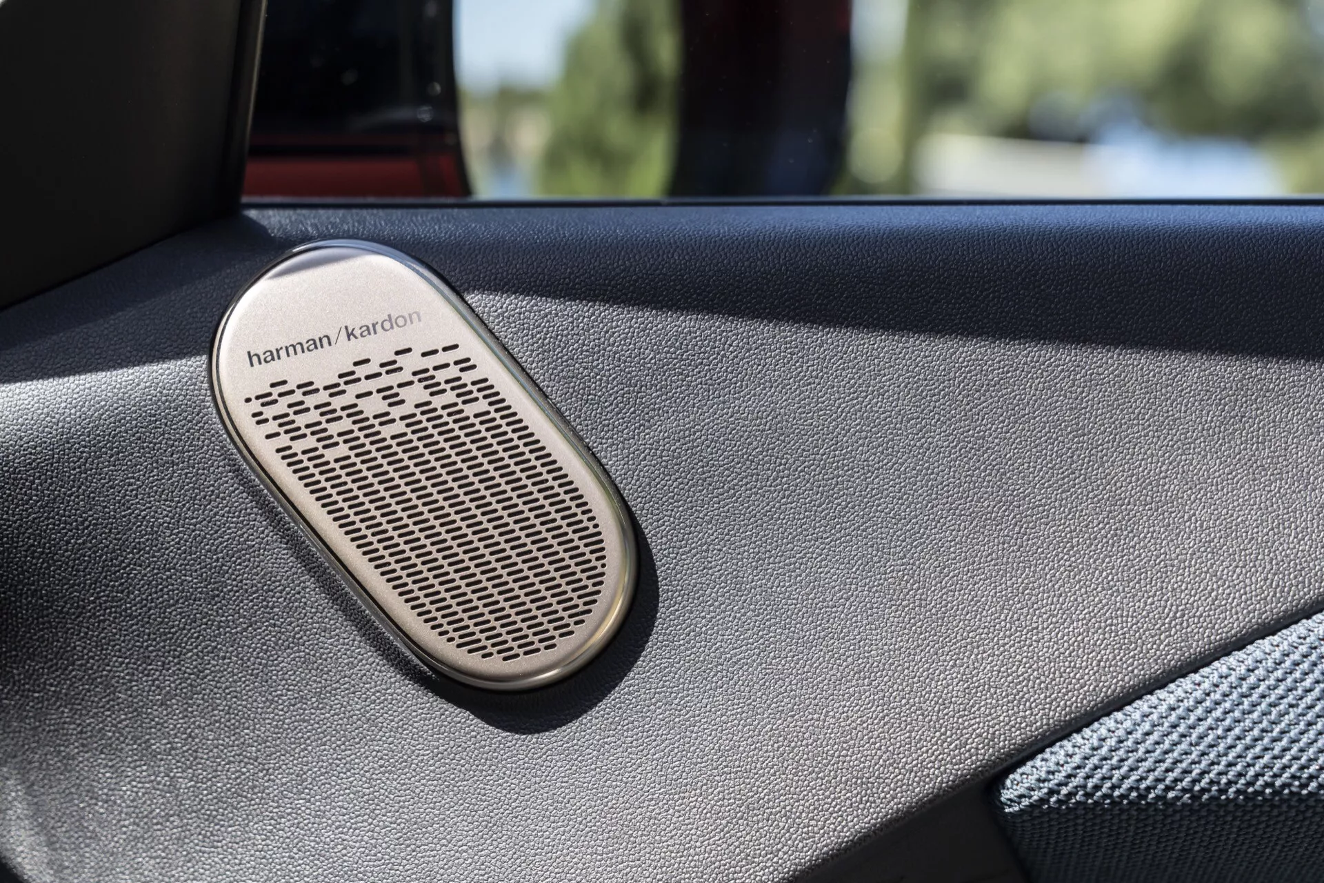 Harman Kardon speaker grille in Mini Aceman 2024 (JO5) door panel, highlighting oval shape and fine mesh pattern, indicative of premium audio system