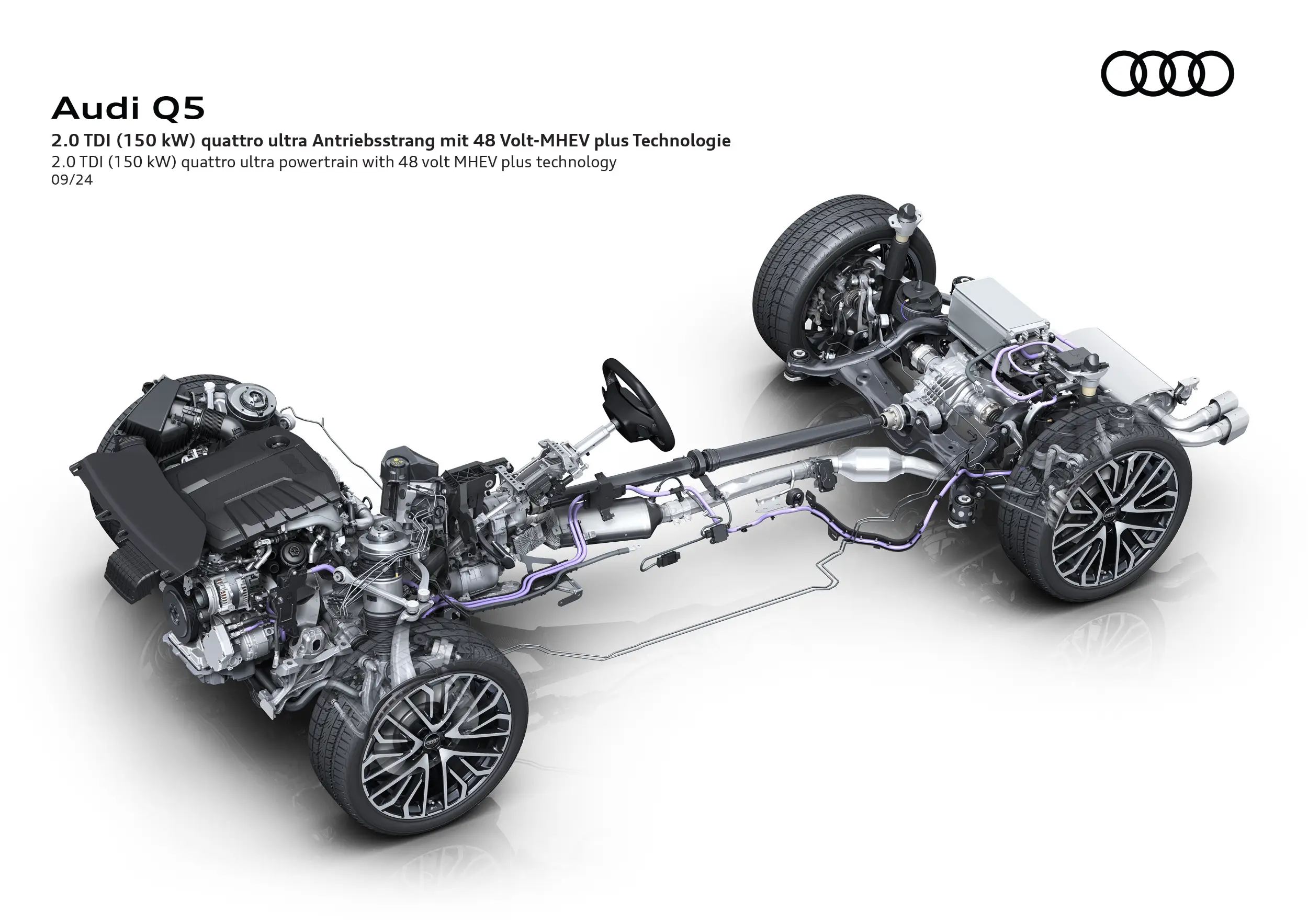 Q5 Q5 3. Generation