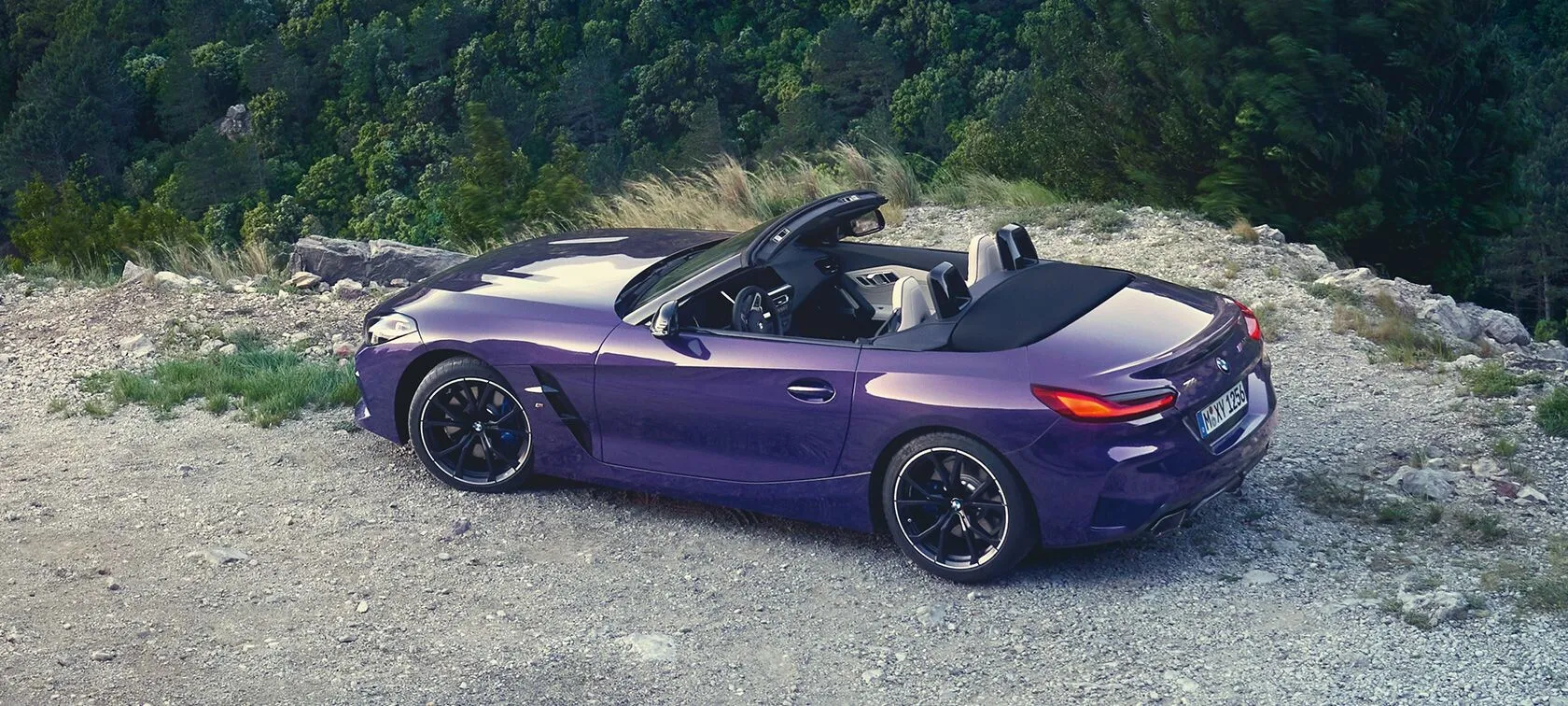 Z4 Z4 G29 (1. Facelift)