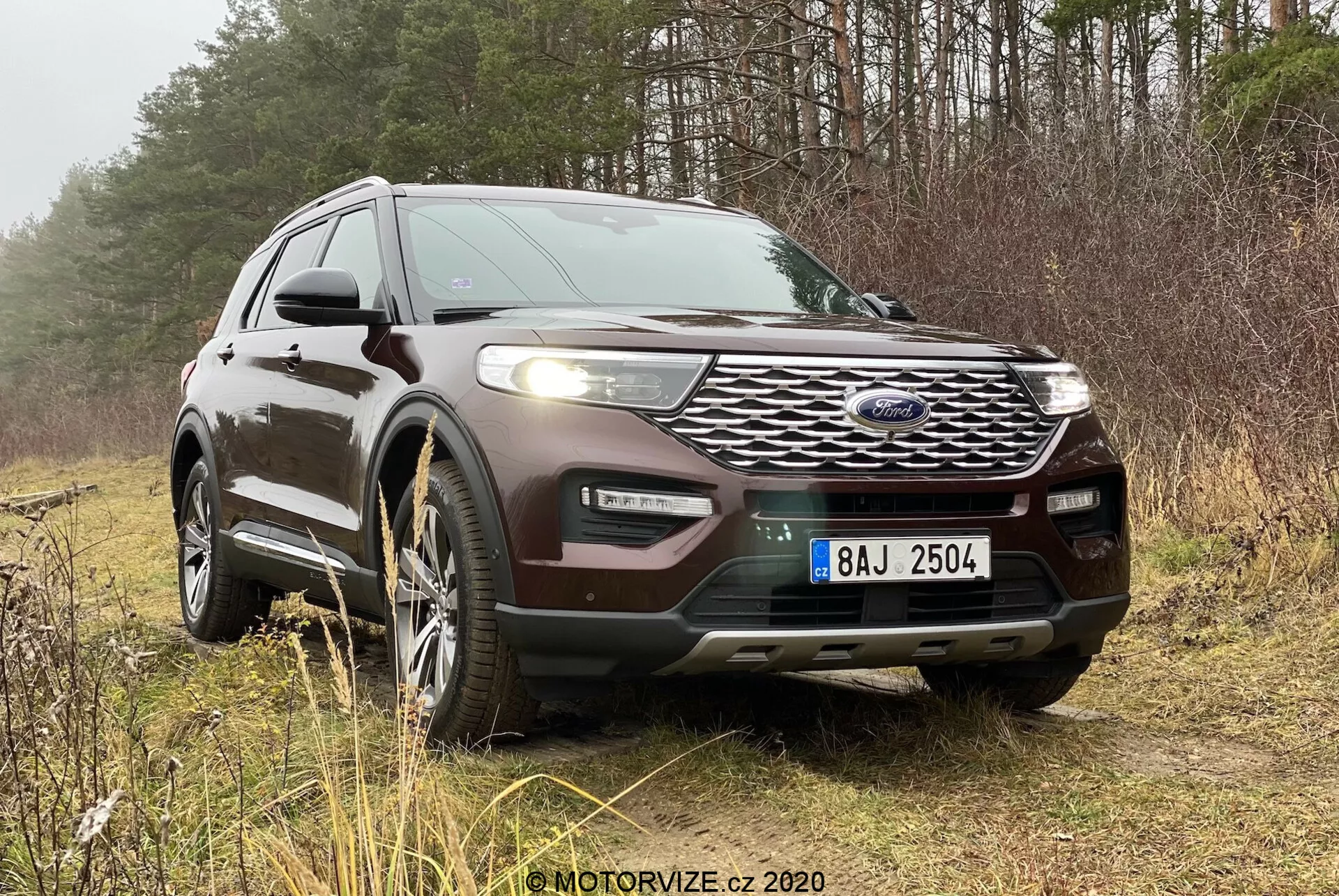 A 2019 Ford Explorer SUV is parked on a grassy or undergrowth surface in a rural or woodland area, with trees in the background. Captured from a front three-quarter angle, the photo shows the SUV's front and side profile, including details like the grille, headlights, fog lights, wheels, and front bumper. Features like a front-mounted radar or sensor system for adaptive cruise control, intricate LED headlights, and alloy wheels are visible. The vehicle also has a front skid plate, roof-rack mounting system, and possibly a panoramic sunroof. The photo is taken under natural, overcast lighting, emphasizing the car's design and suitability for off-road environments.