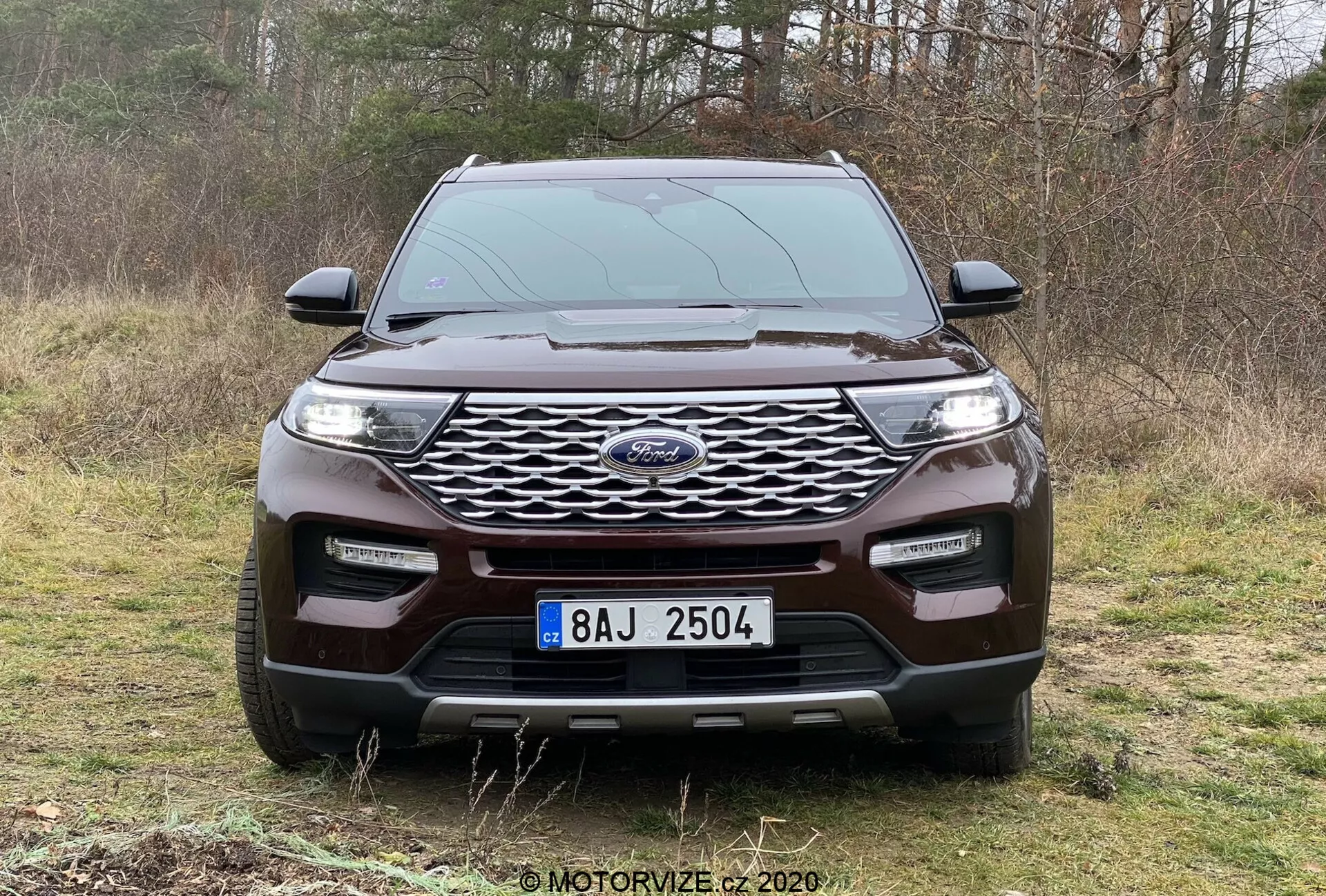Front view of the 2019 Ford Explorer SUV, parked on a grassy area with trees in the background, showcasing the modern vehicle's exterior features. Prominent mesh-pattern grille with centered badge, sleek LED headlamps, robust front bumper with fog lights, silvered element for rugged look, and aerodynamic hood contours visible. Suitable for discussions on automotive design, safety technology, and off-road capability.